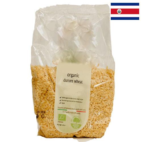 пшеница твердая из Коста-Рики