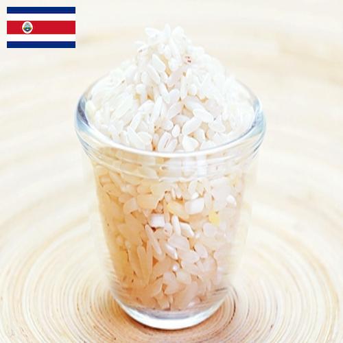 рис шлифованный из Коста-Рики