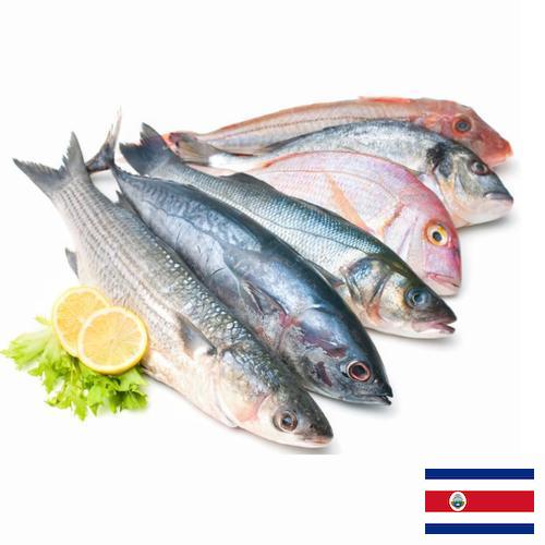 рыба и морепродукты из Коста-Рики