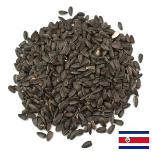 Семена цветов из Коста-Рики