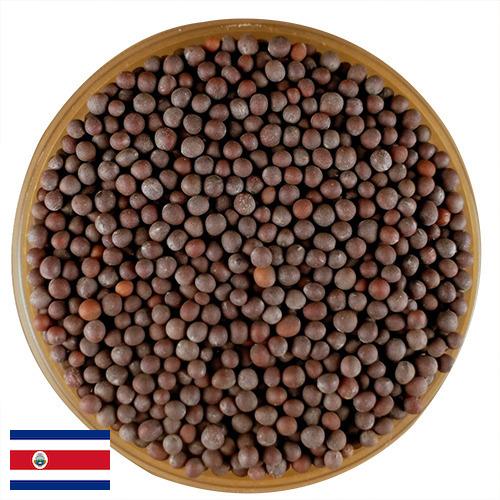 семена горчица из Коста-Рики