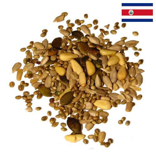 Семена из Коста-Рики