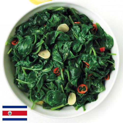 Шпинат из Коста-Рики