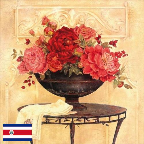 Шторы декоративные из Коста-Рики