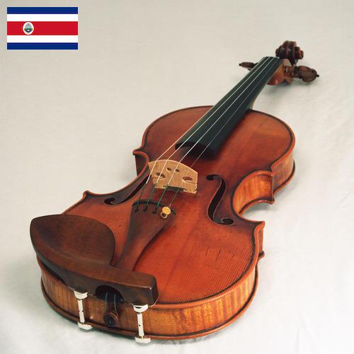 Скрипки из Коста-Рики