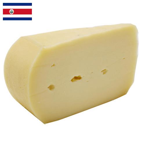 Сыры полутвёрдые из Коста-Рики