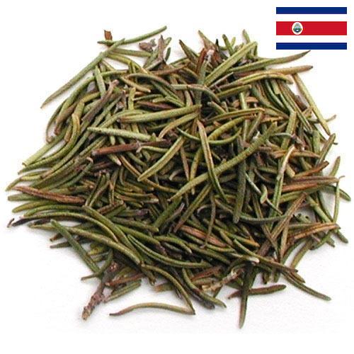 Травы сушеные из Коста-Рики