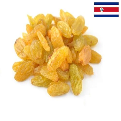 виноград сушеный из Коста-Рики