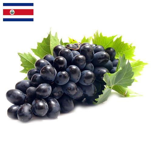 Виноград из Коста-Рики