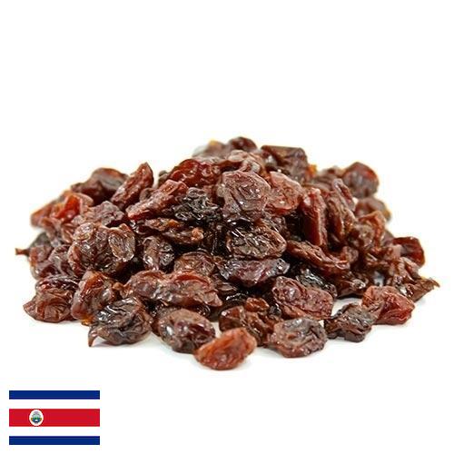 Вишня сушеная из Коста-Рики