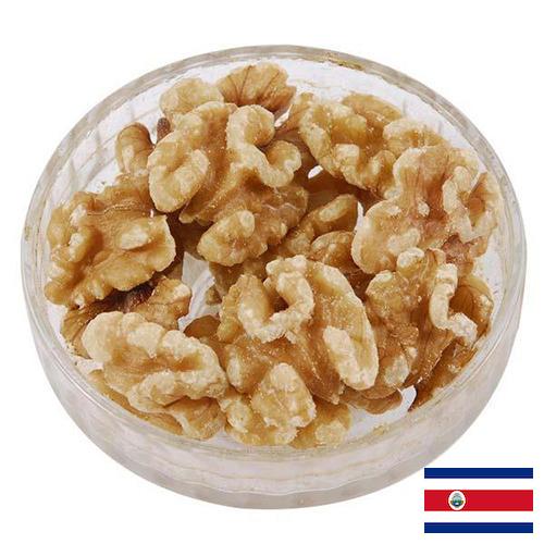 Ядра орехов из Коста-Рики