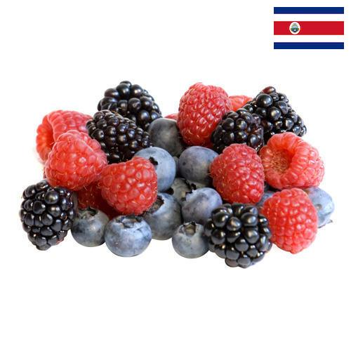 Ягоды замороженные из Коста-Рики