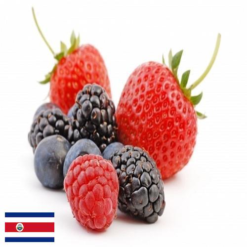 Ягоды из Коста-Рики