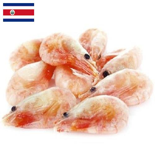 замороженные креветки из Коста-Рики