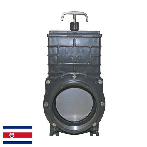 Золотник из Коста-Рики