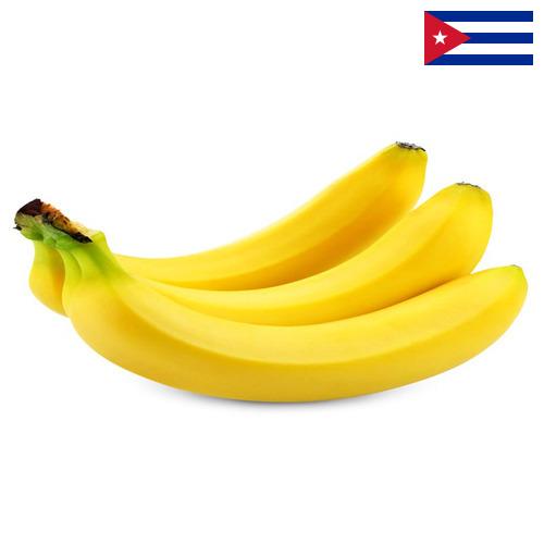 Бананы с Кубы