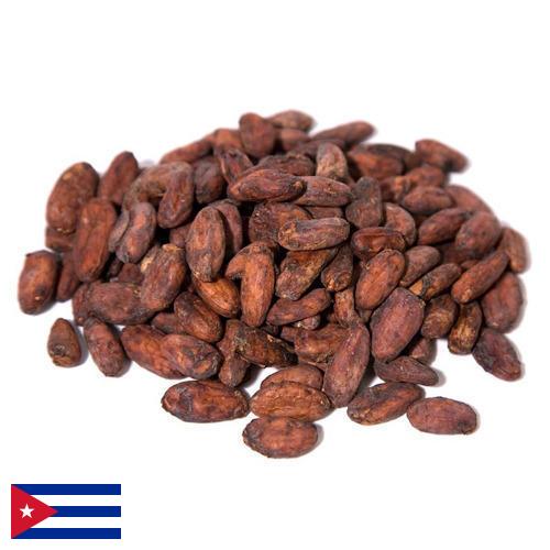 какао-бобы с Кубы