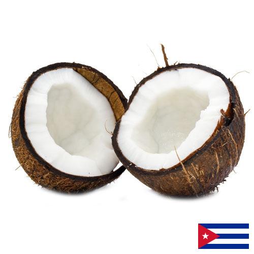 Кокосы с Кубы