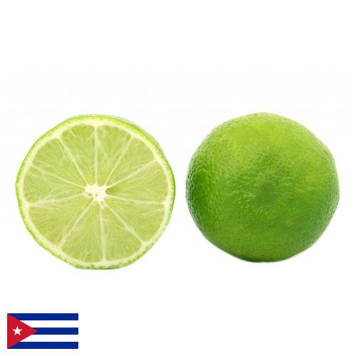 лайм с Кубы