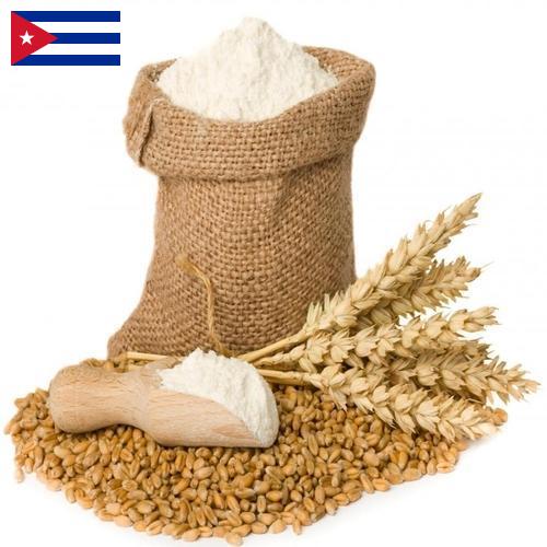 мука пшеничная первый сорт с Кубы