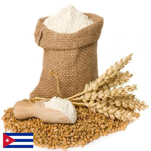 мука пшеничная высший с Кубы