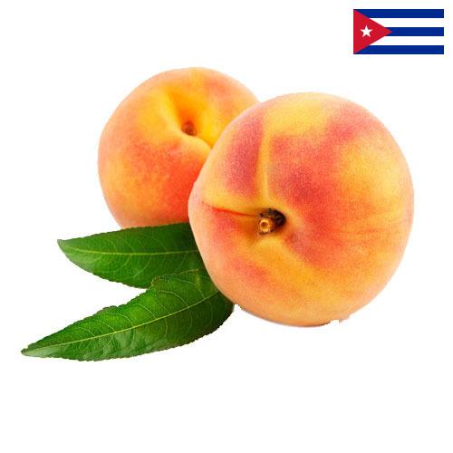 Персики с Кубы