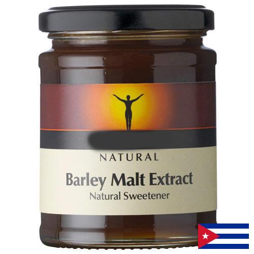 ячмень пивоваренный с Кубы