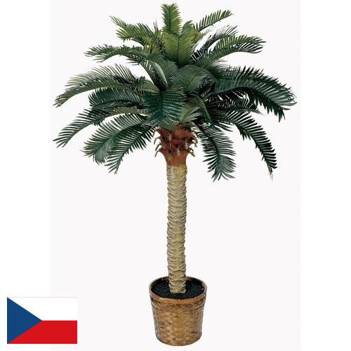 Деревья искусственные из Чехии