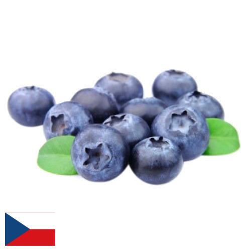 Голубика из Чехии