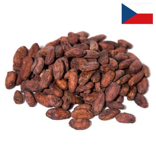 какао бобы из Чехии