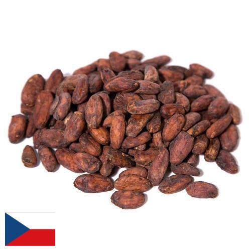 какао-бобы из Чехии