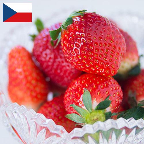 клубника замороженная из Чехии