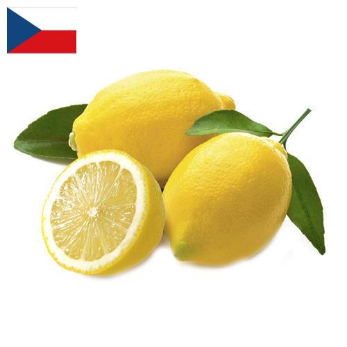 лимон свежий из Чехии