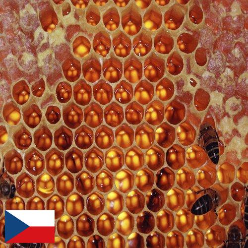 мед оборудование из Чехии