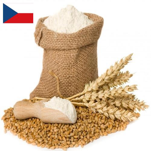 мука пшеничная высший из Чехии