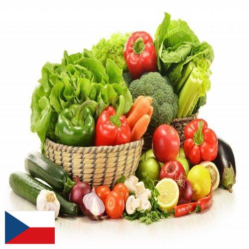 Овощи свежие из Чехии