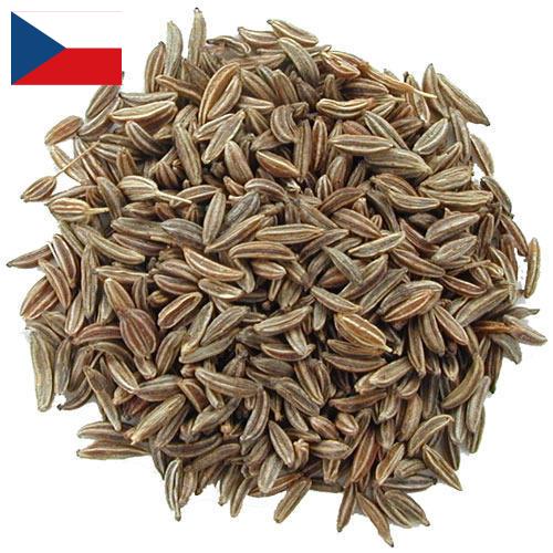 Семена тмина из Чехии