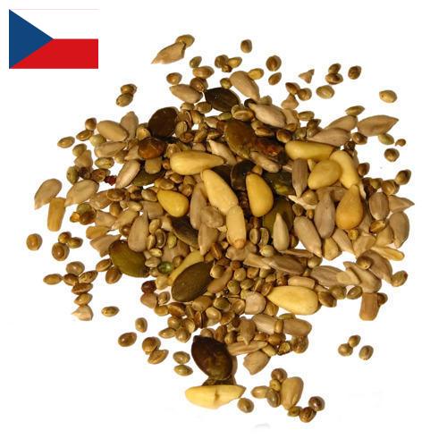 Семена из Чехии