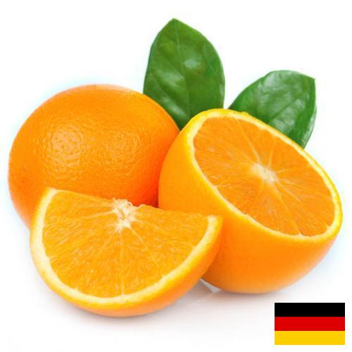 апельсины свежие из Германии