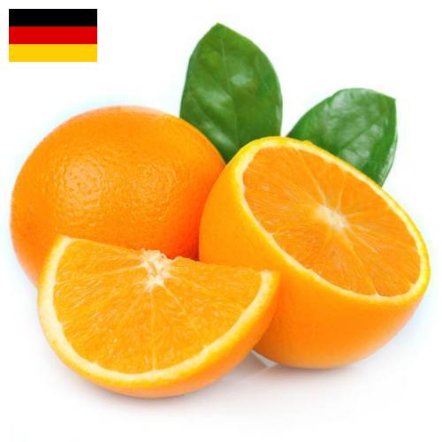 Апельсины из Германии