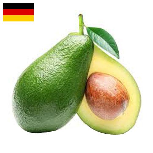 Авокадо из Германии