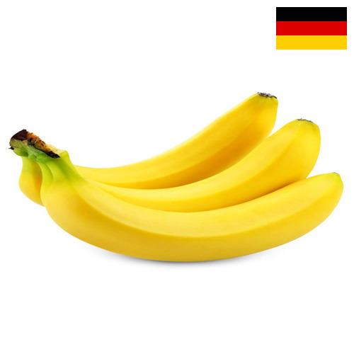 Бананы из Германии