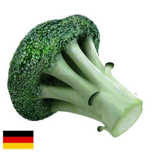 брокколи из Германии
