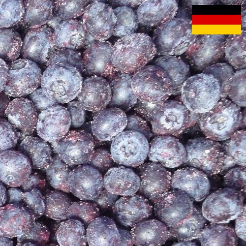 черника замороженная из Германии