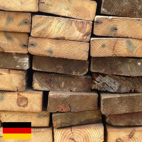 дерево из Германии