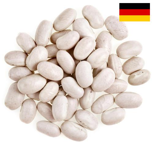 фасоль белая из Германии