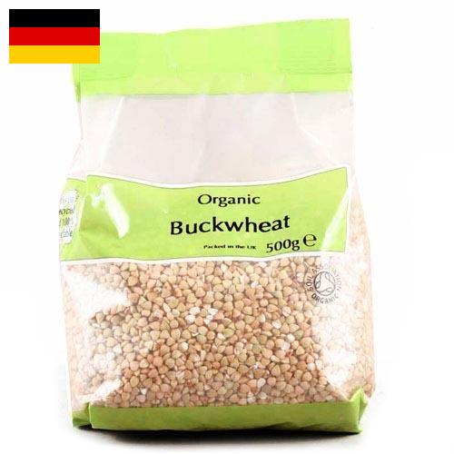 Гречневая крупа из Германии