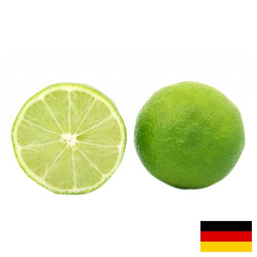 Известь из Германии