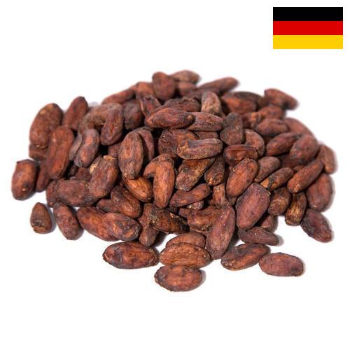 какао бобы из Германии