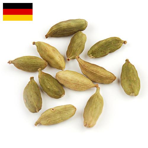 Кардамон из Германии